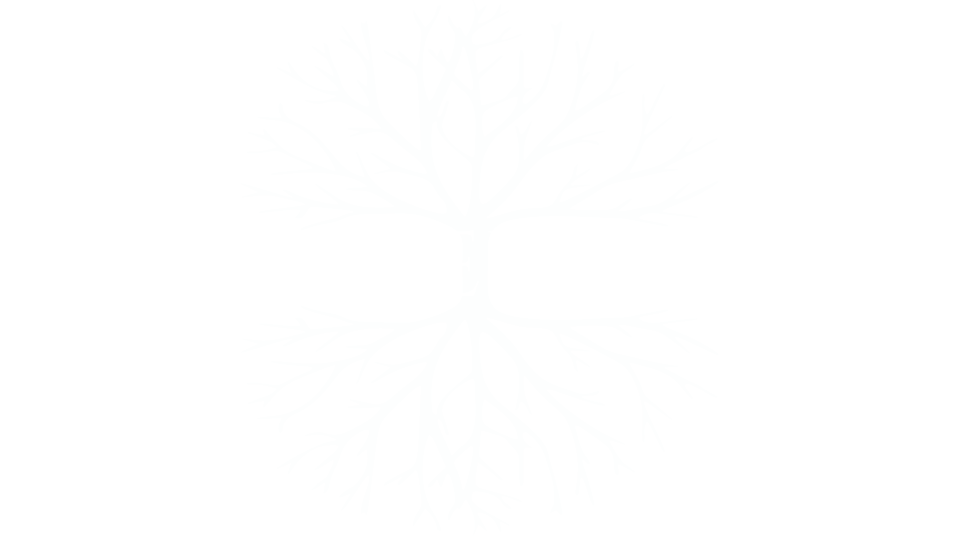 White Lief Studio